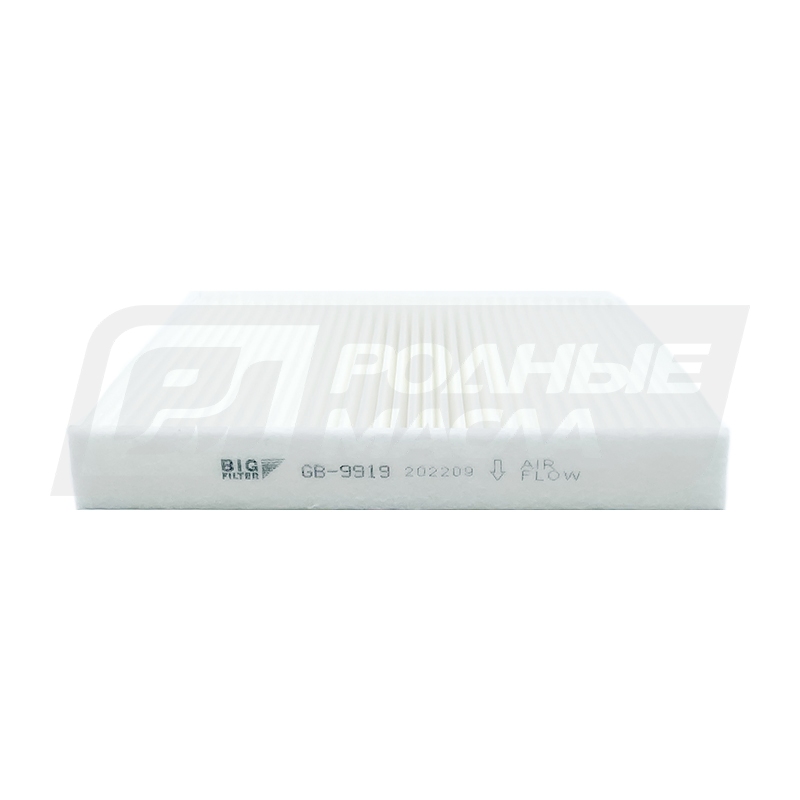 BIG FILTER GB-9919 (AC-806, Honda 08R79SEA000A) GB9919
